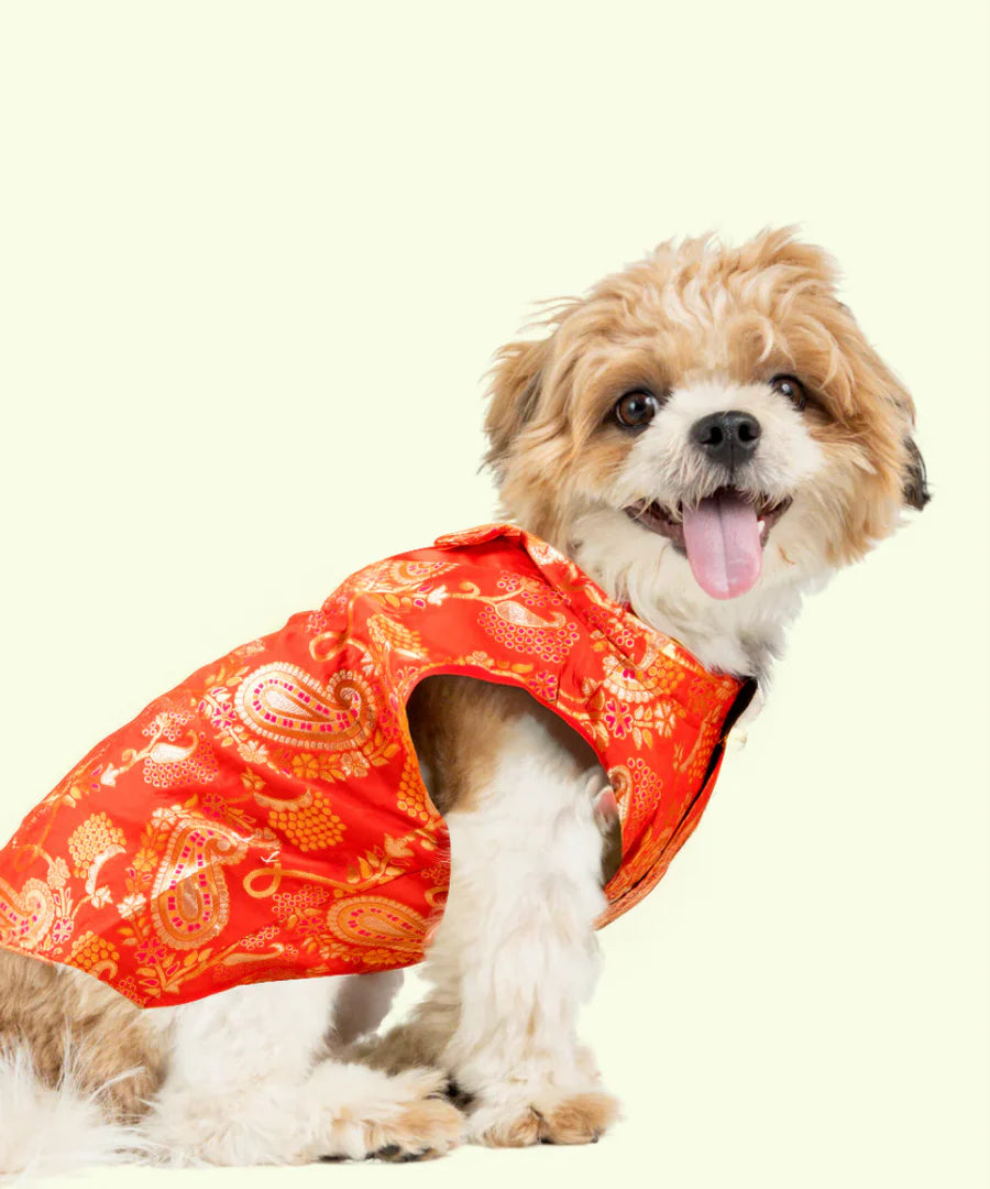 Dog Kurta with Bowtie Red