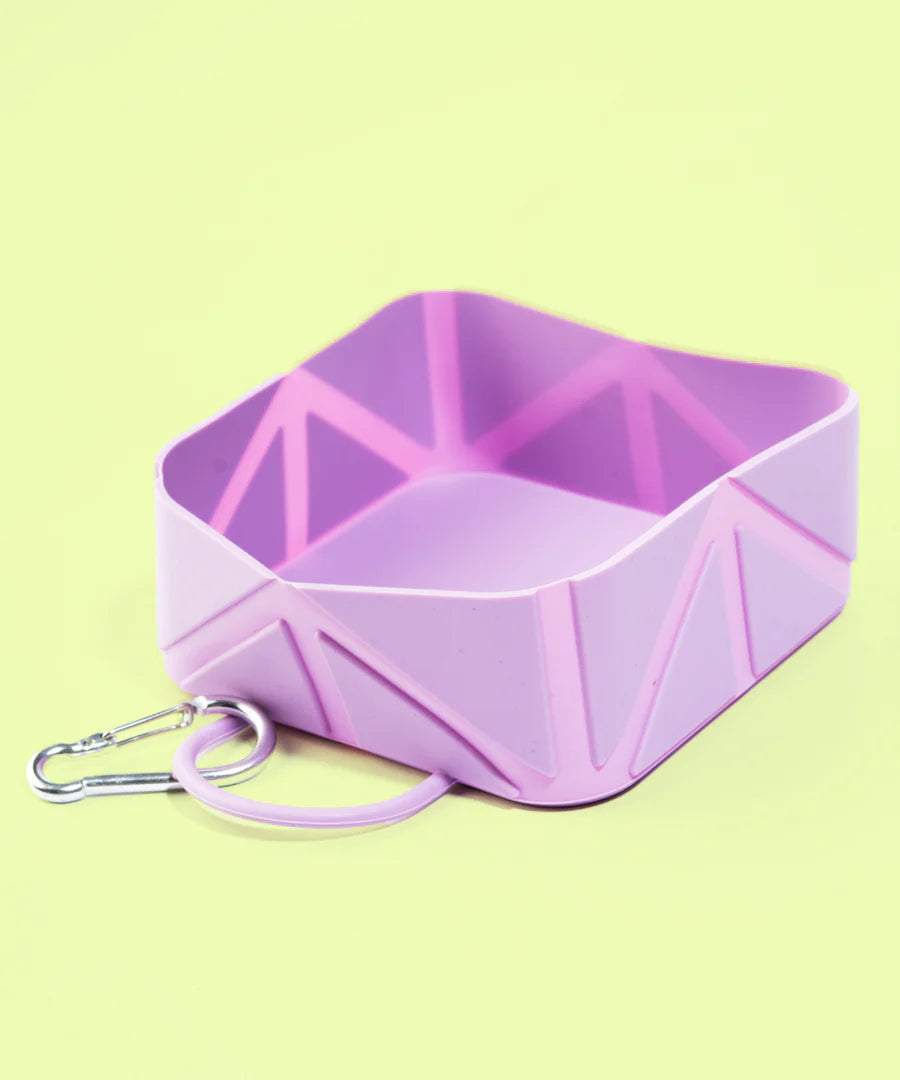 Foldable Dog Bowl Square