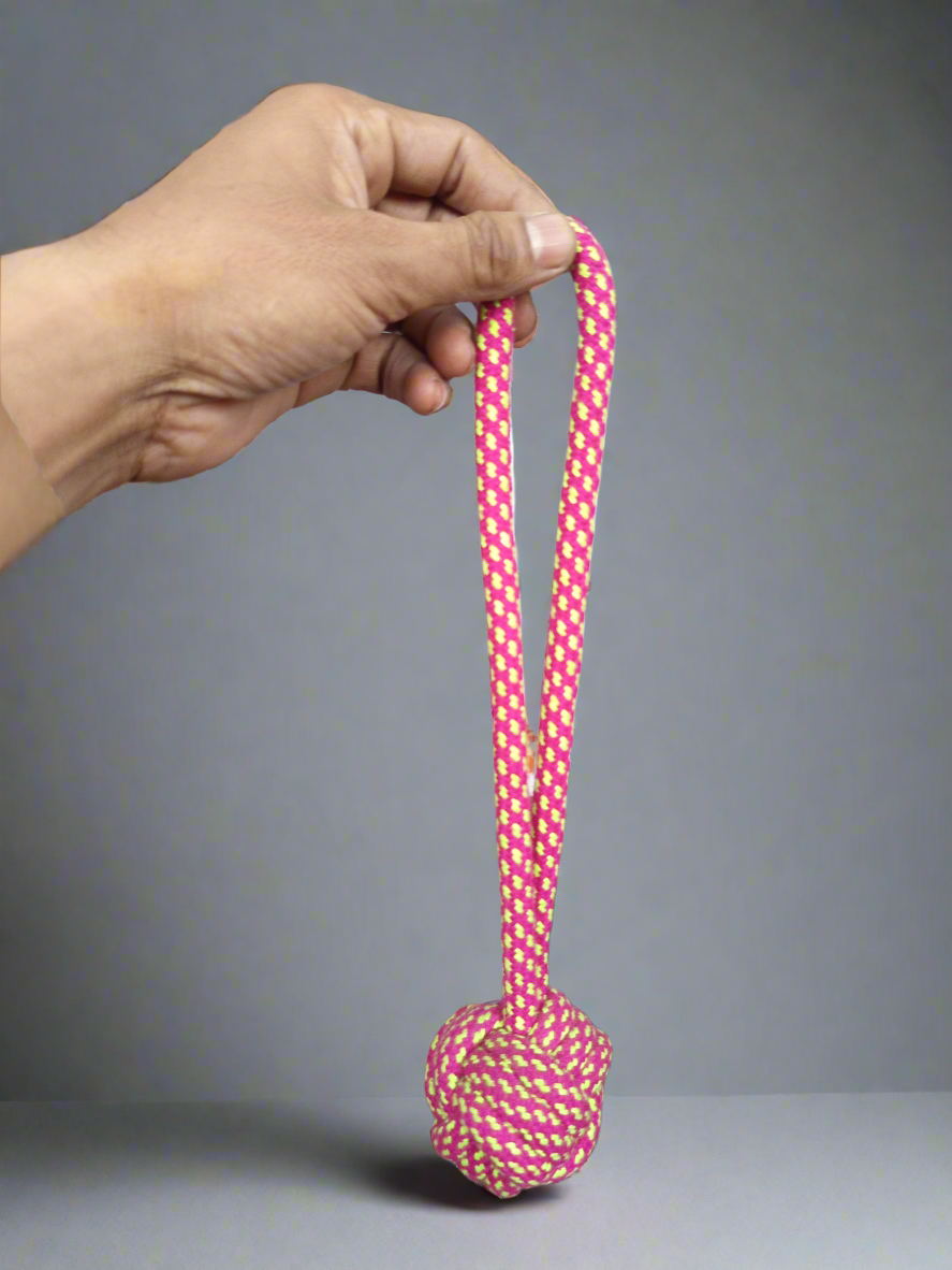 Single ball with rope toy