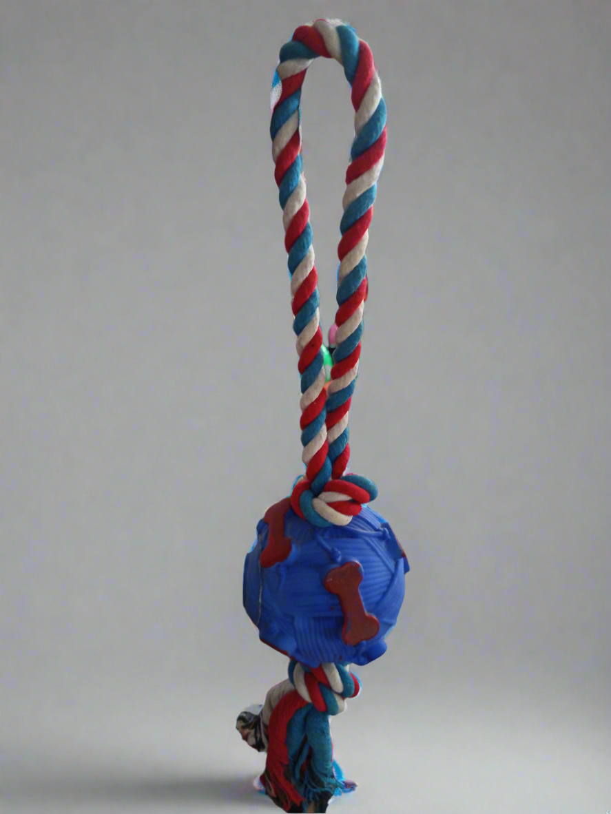 Plastic ball with rope