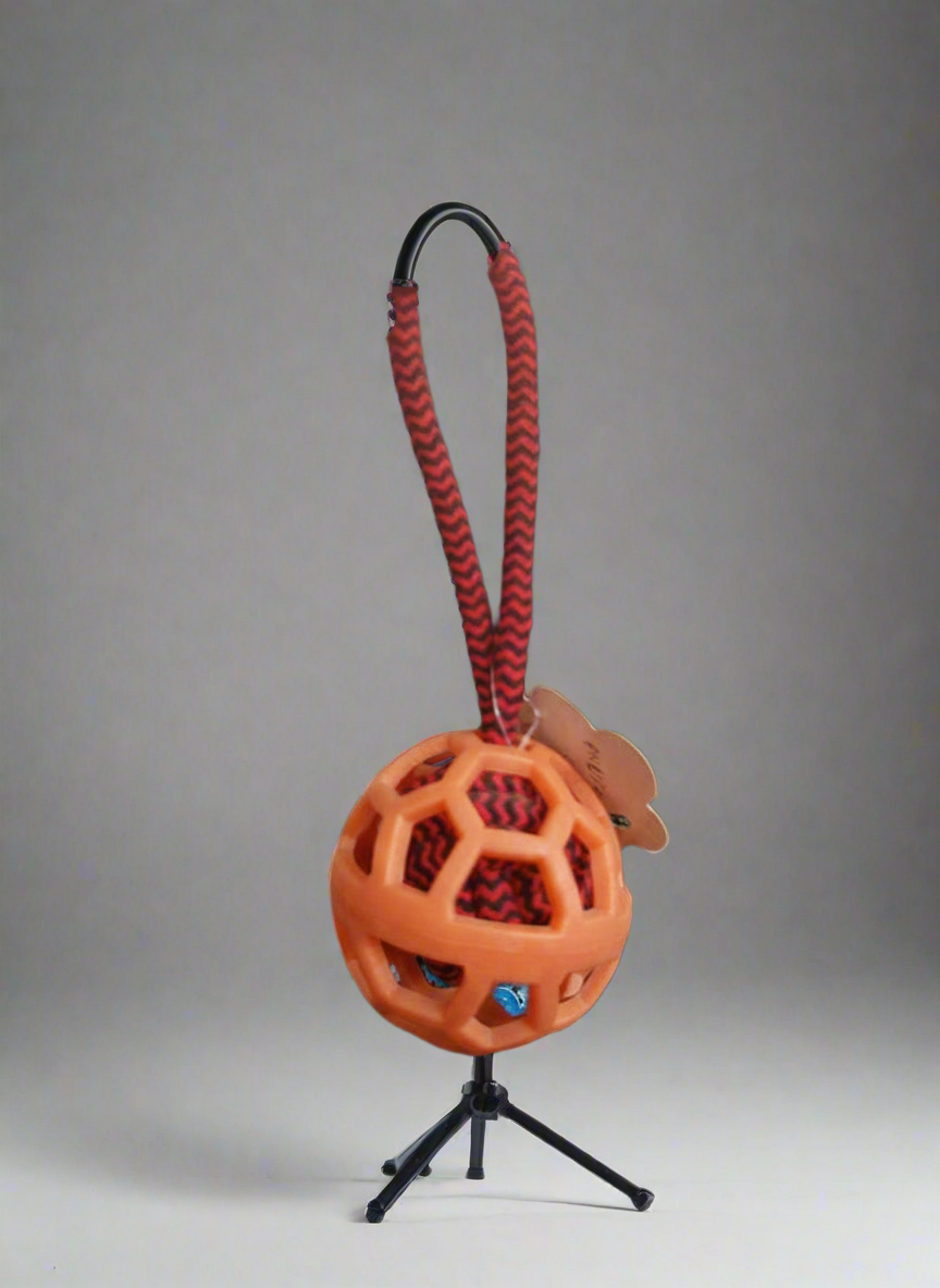 Ball with rope toy