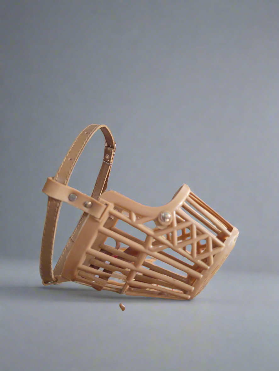 Plastic muzzle for dog