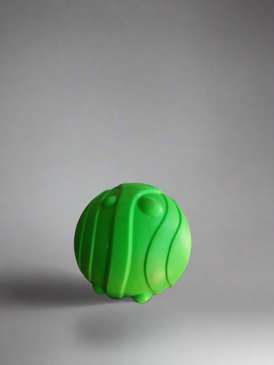 Dog ball toy