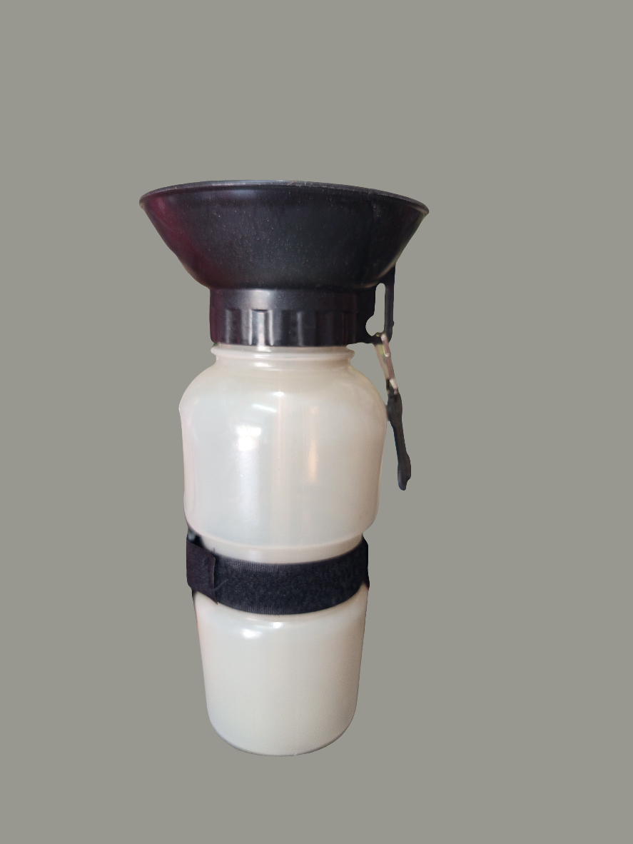 Pet water bottle