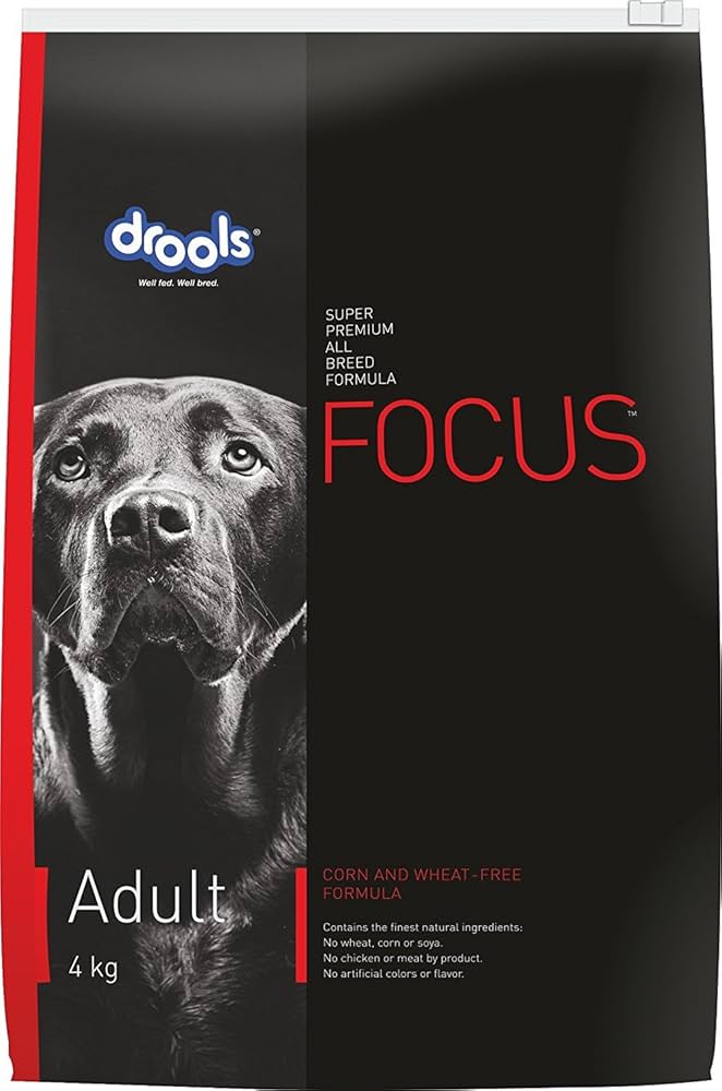 Focus adult 4 kg
