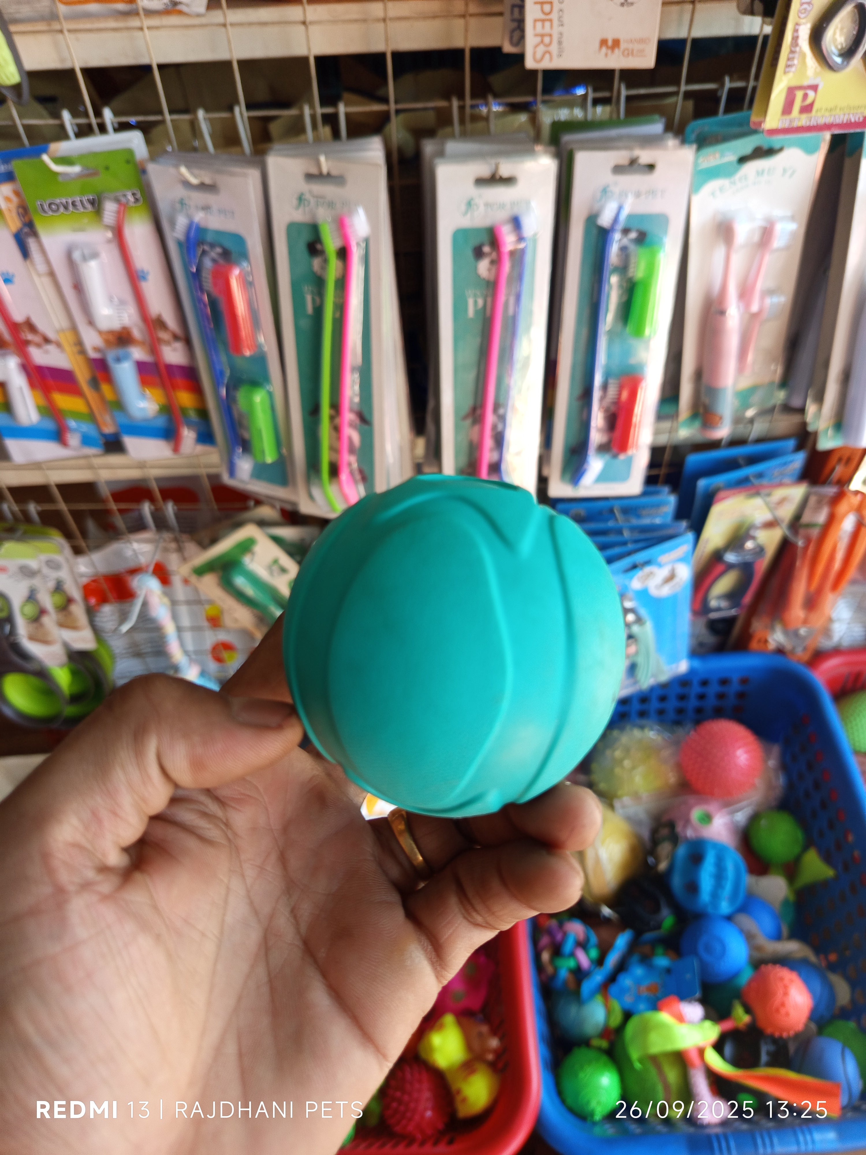 Dog ball toy