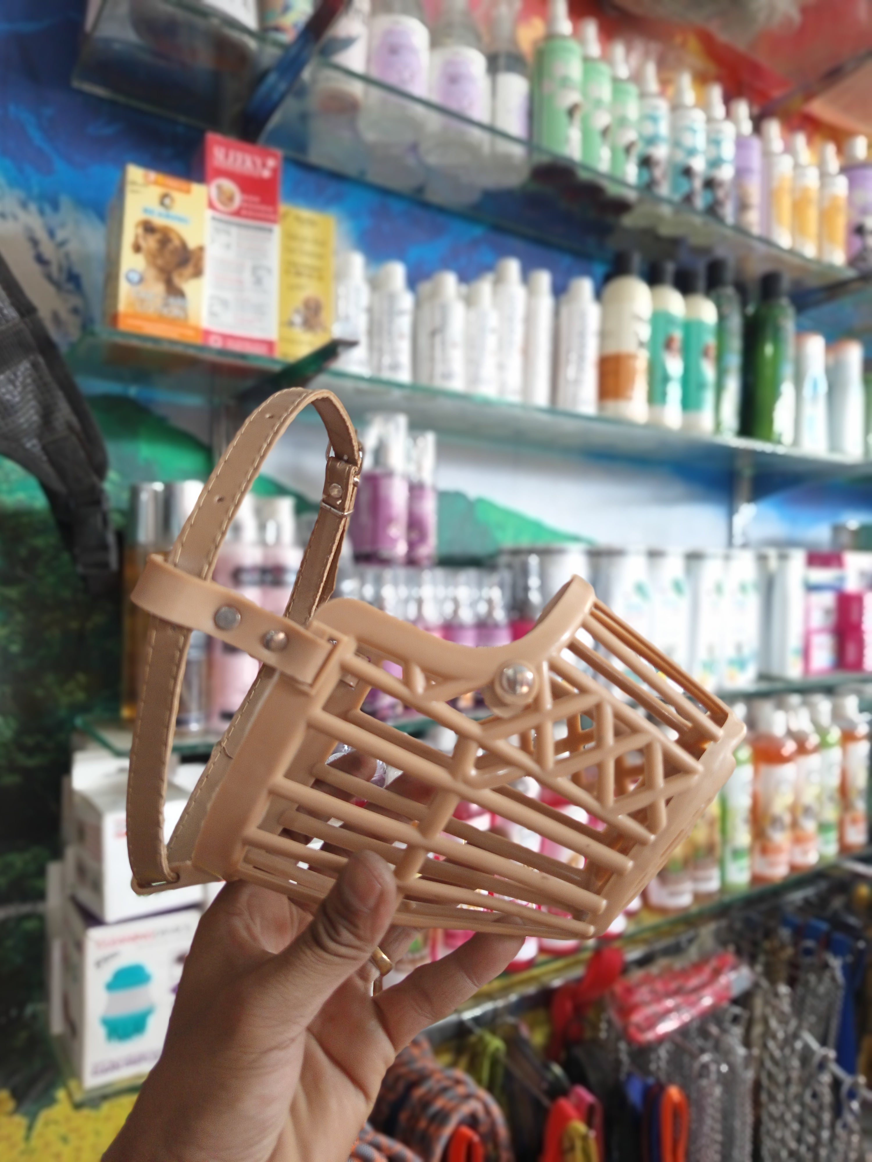 Plastic muzzle for dog