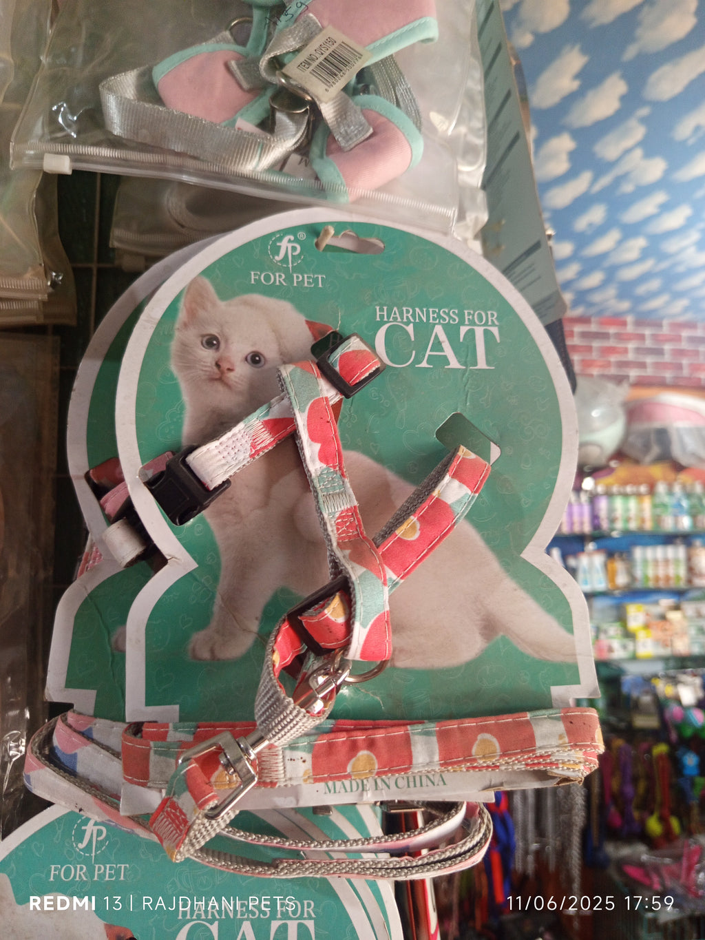 Cat harness