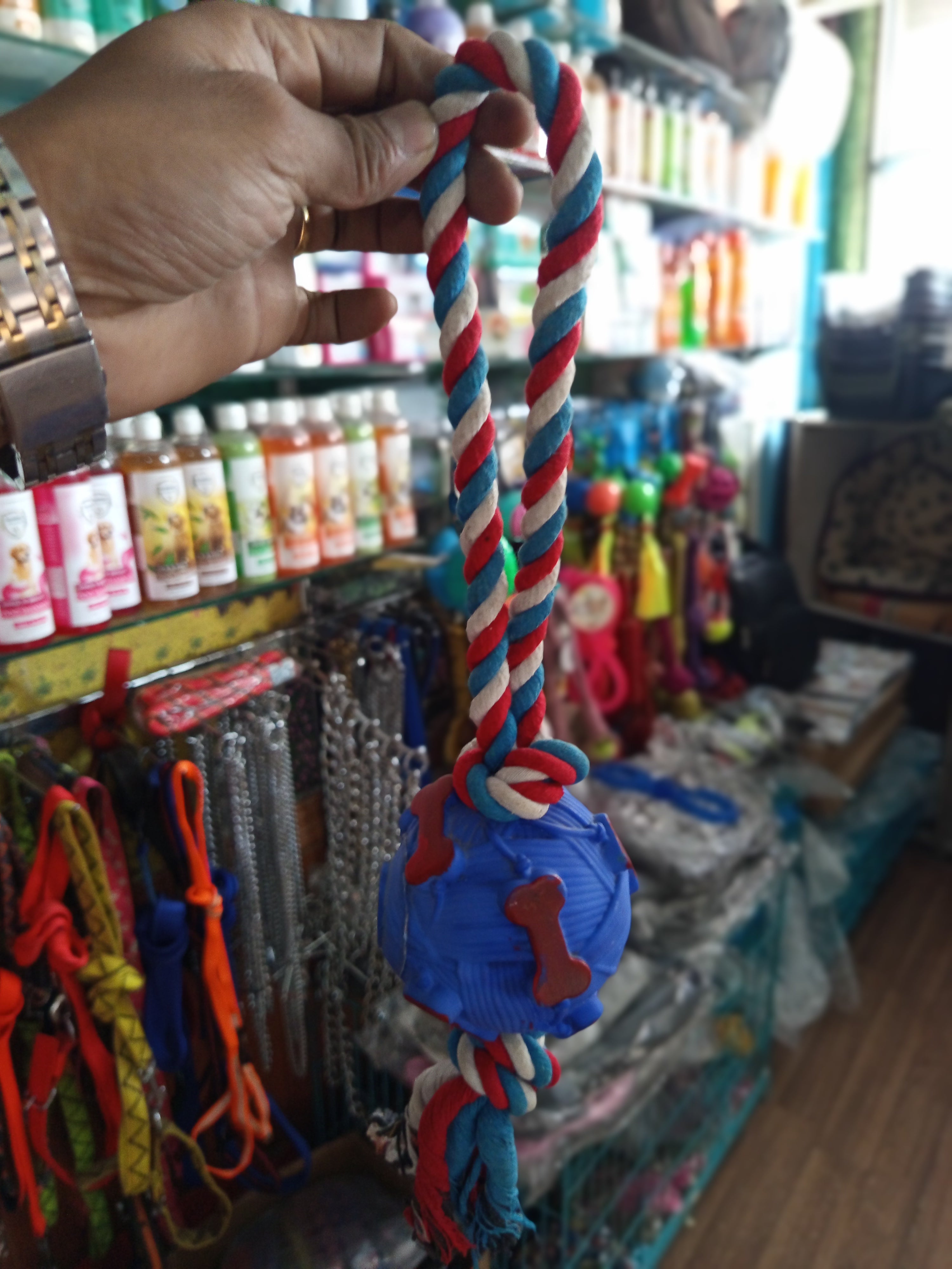 Plastic ball with rope