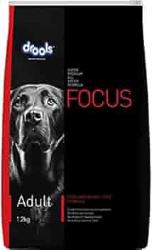 Focus adult 1.2 kg