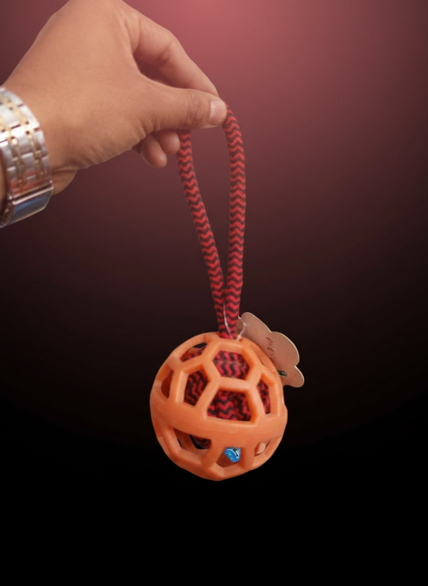 Ball with rope toy
