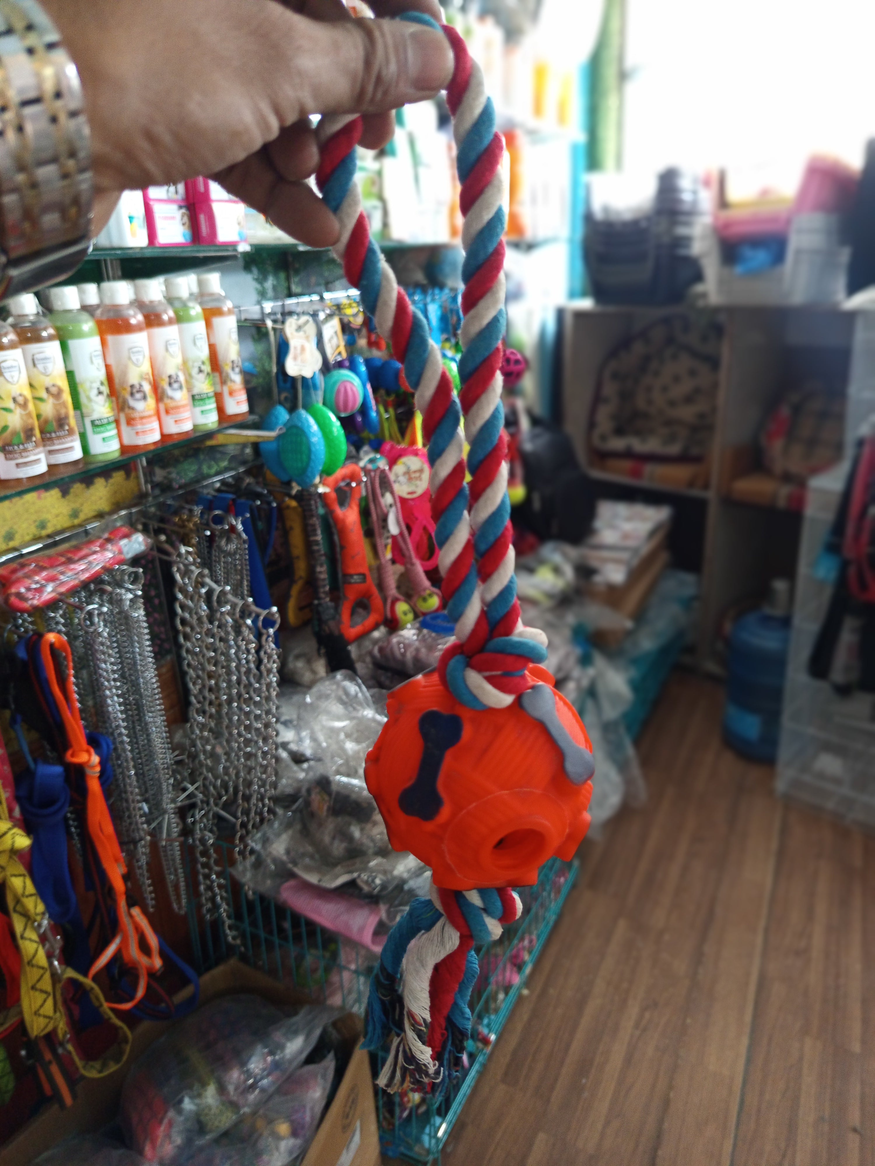 Plastic ball with rope